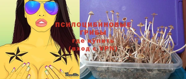 а пвп мука Абаза