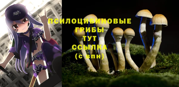 кокс Козельск